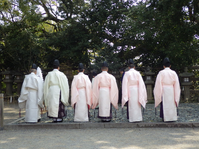 イメージ 7