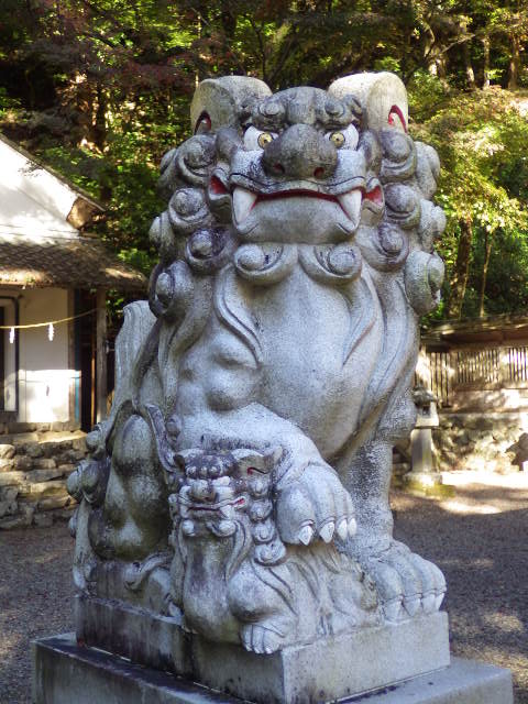 イメージ 6