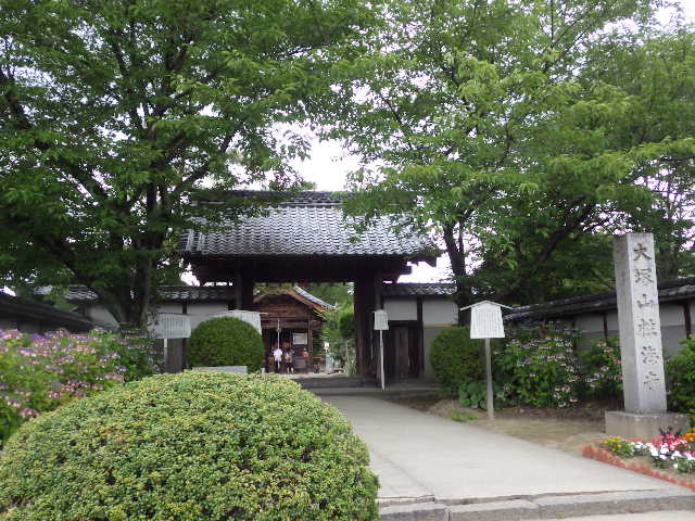 イメージ 2
