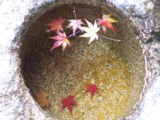 イメージ 12