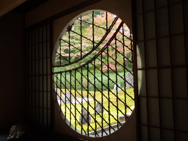 イメージ 7