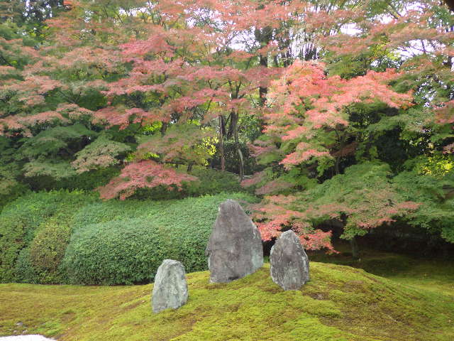 イメージ 9