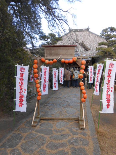 イメージ 3