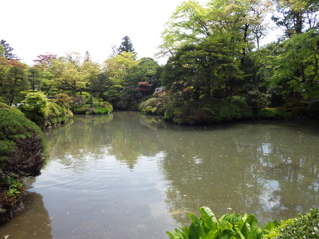 イメージ 17