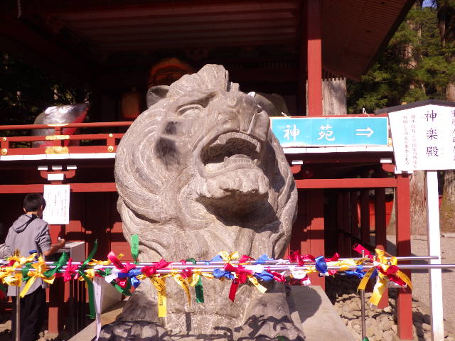イメージ 9