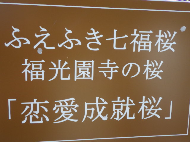 イメージ 6