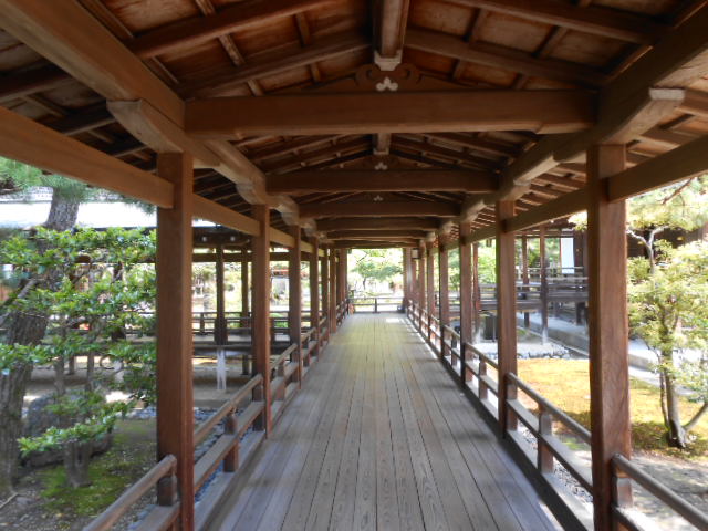イメージ 12