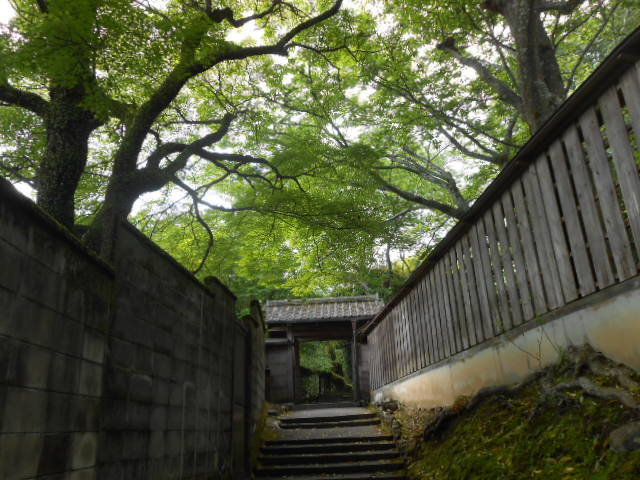 イメージ 5