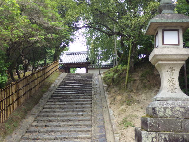 イメージ 11