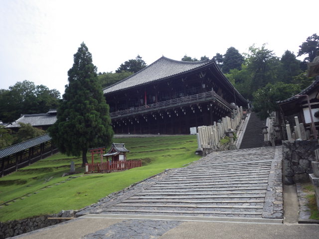 イメージ 8