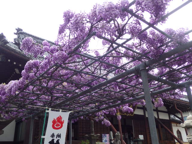 イメージ 19