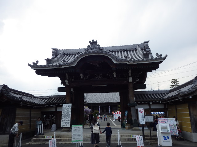 イメージ 8