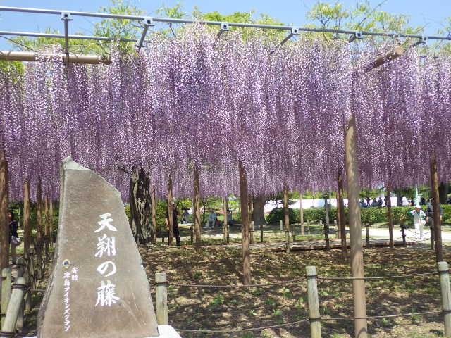 イメージ 12