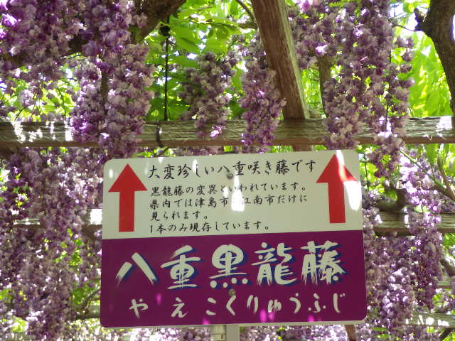イメージ 17