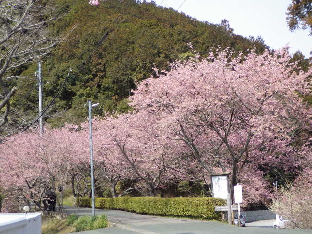 イメージ 3