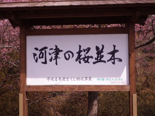 イメージ 4
