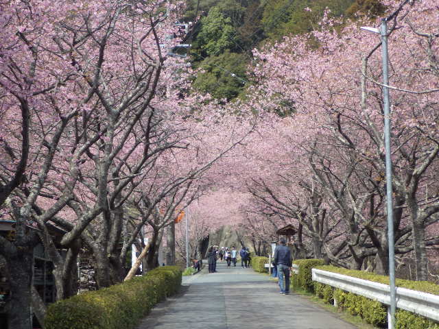 イメージ 5