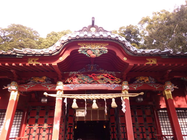 イメージ 7