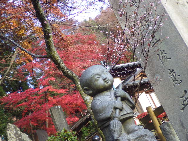 イメージ 5