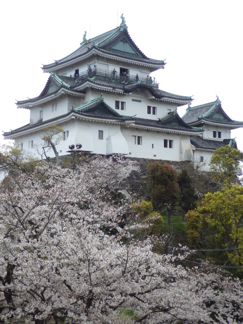 イメージ 19