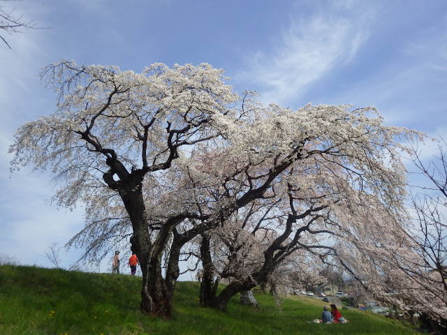 イメージ 11