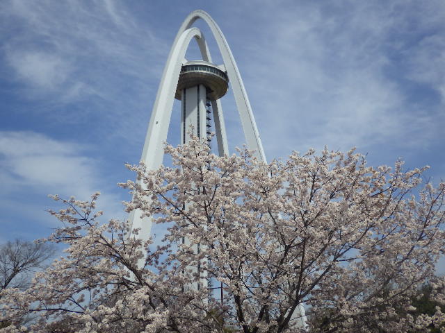 イメージ 12