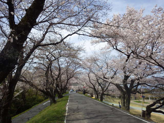 イメージ 14