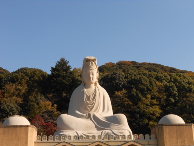 イメージ 19