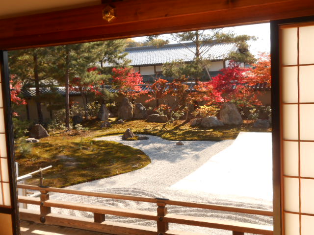 イメージ 10