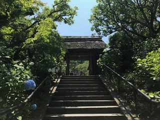 イメージ 21