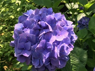 イメージ 26