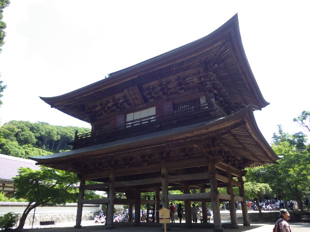イメージ 5