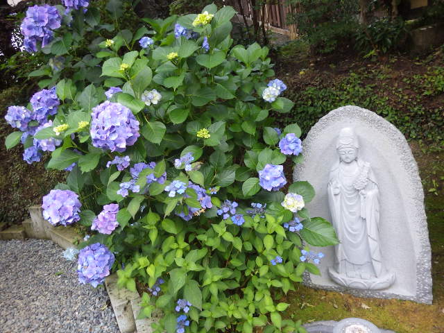 イメージ 9