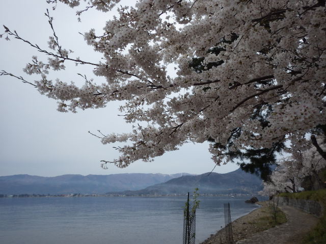 イメージ 5
