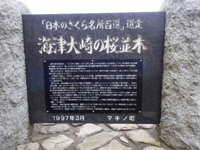 イメージ 9