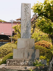 イメージ 6