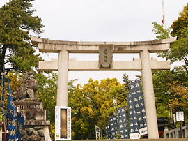 イメージ 7