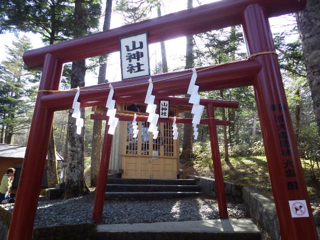 イメージ 7