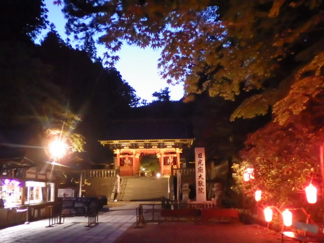 イメージ 19
