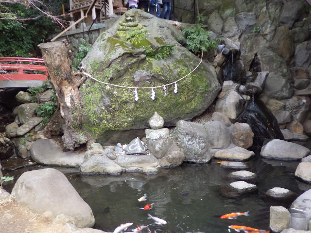 イメージ 14