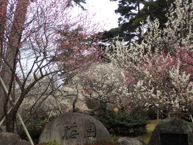 イメージ 3