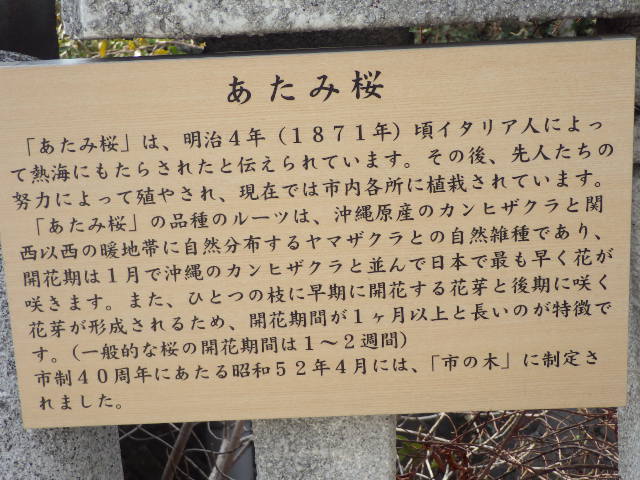 イメージ 10