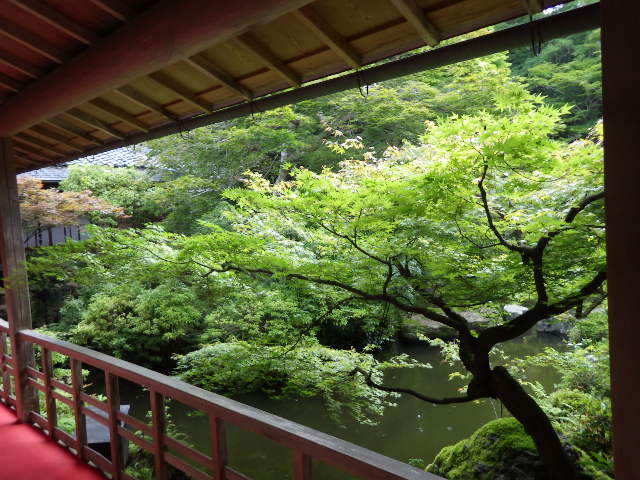 イメージ 5