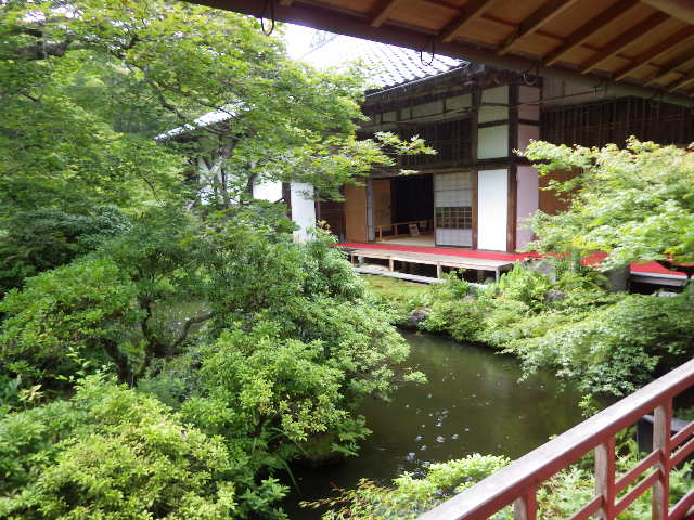 イメージ 6