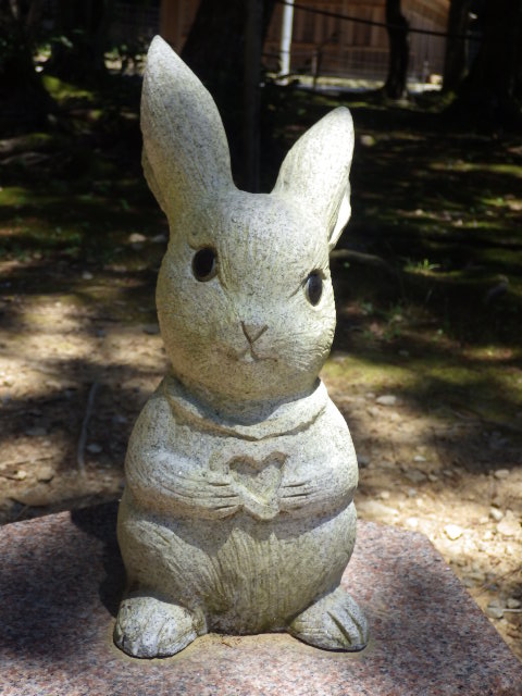 イメージ 18
