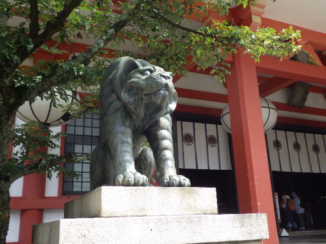 イメージ 16