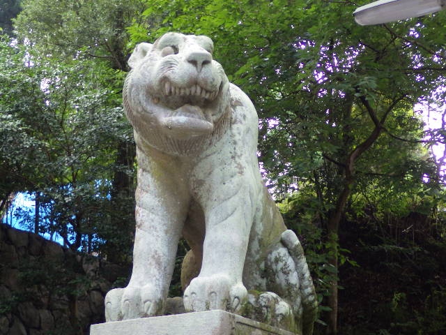 イメージ 8