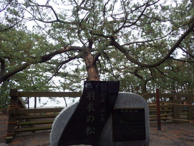 イメージ 7