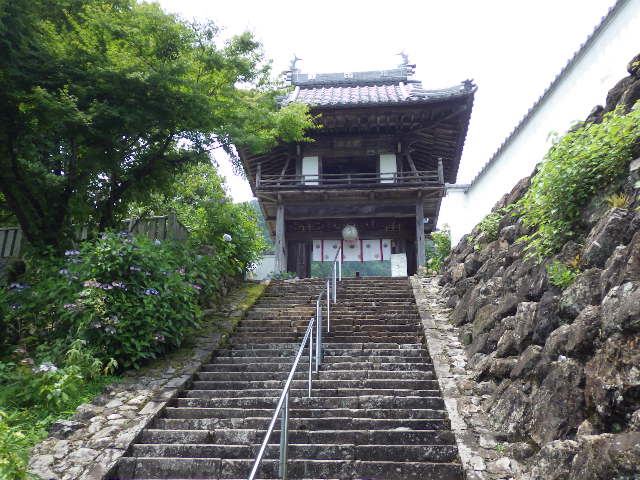イメージ 6