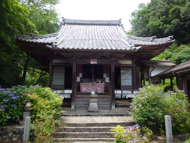 イメージ 7